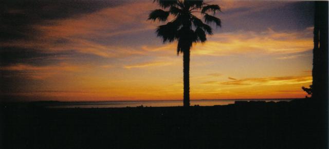 Sunset View